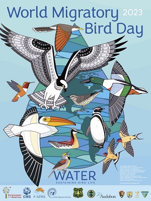 EFTA International Migratory Bird Day