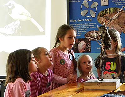 Youngsters observing an Eastern Screech-Owl