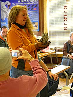 Presenter with Eastern Screech-Owl