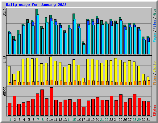 Daily usage for January 2023