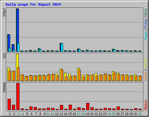 Daily usage for August 2024