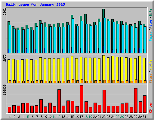 Daily usage for January 2025