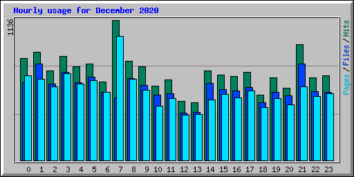 Hourly usage for December 2020