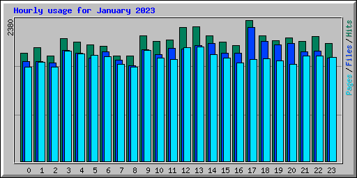 Hourly usage for January 2023