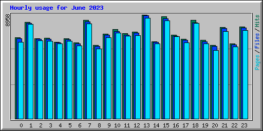 Hourly usage for June 2023