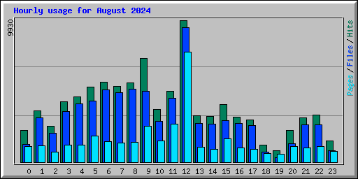 Hourly usage for August 2024