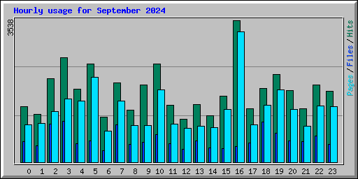 Hourly usage for September 2024