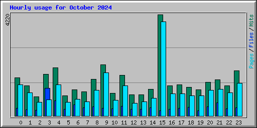 Hourly usage for October 2024