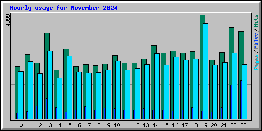 Hourly usage for November 2024