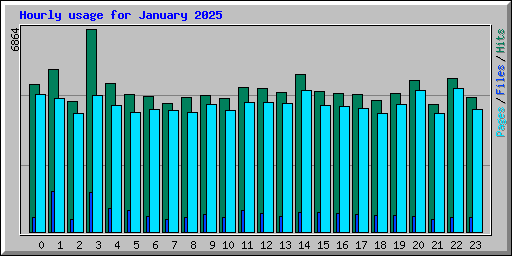 Hourly usage for January 2025