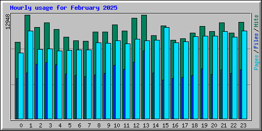 Hourly usage for February 2025