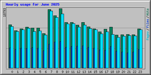 Hourly usage for June 2025