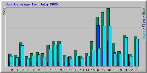 Hourly usage for July 2025